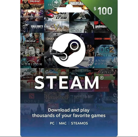 Steam Gift Card 100 USD - Steam Key